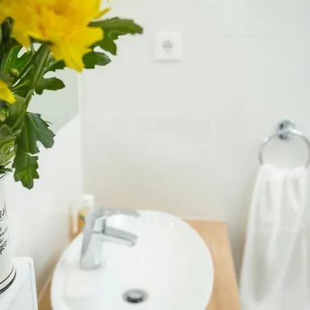 & Libar * 스플리트